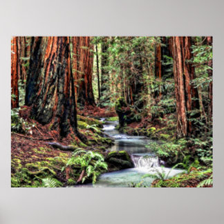 Poster Profundidade 92 Bristle