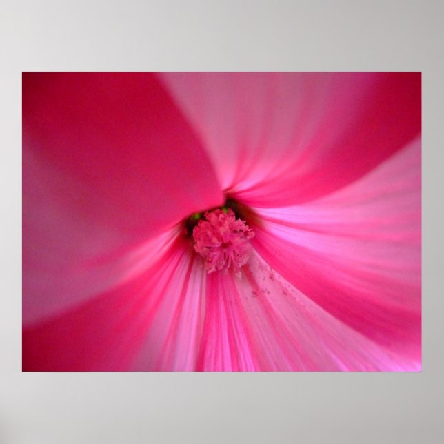 Pôster Profundo dentro (Frente)