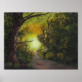 Poster Profundo Na Floresta