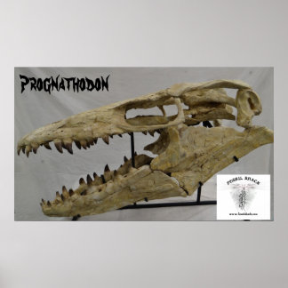 Poster Prognathodon Mosasaur