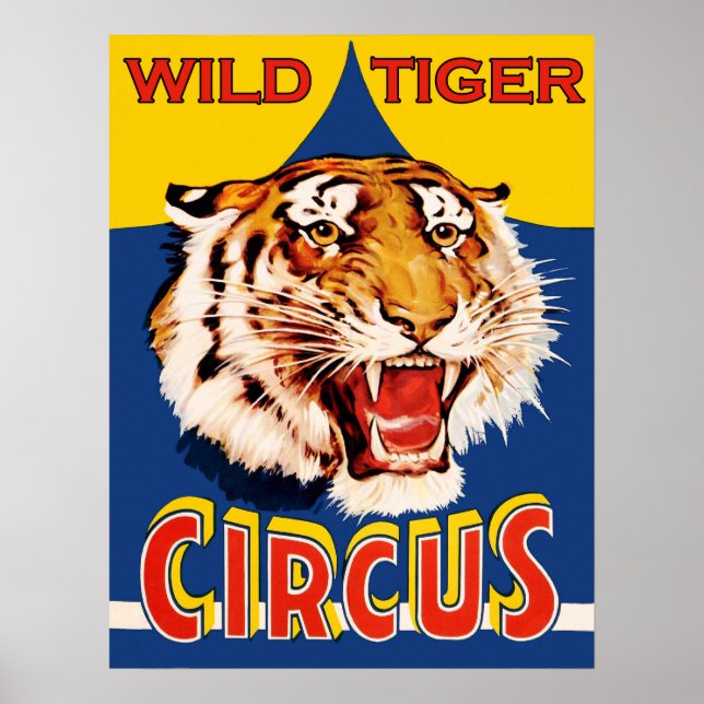 Poster Programa Circus, tigre selvagem, colheita (Frente)