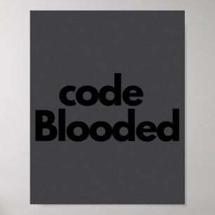 Poster Programador de Computador Codificador Engraçado