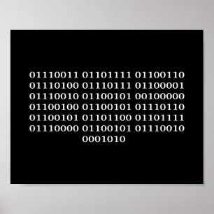 Poster Programador de software