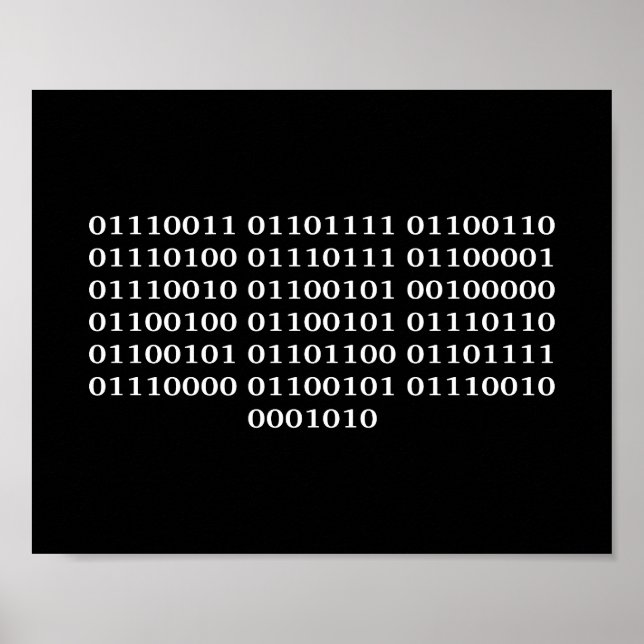 Poster Programador de software (Frente)