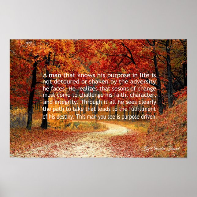 Pôster Projetado a propósito (Frente)