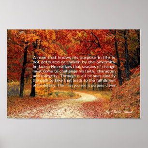 Pôster Projetado a propósito