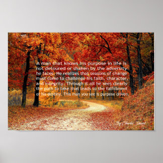 Pôster Projetado a propósito