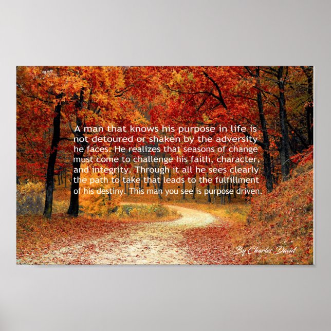 Pôster Projetado a propósito (Frente)