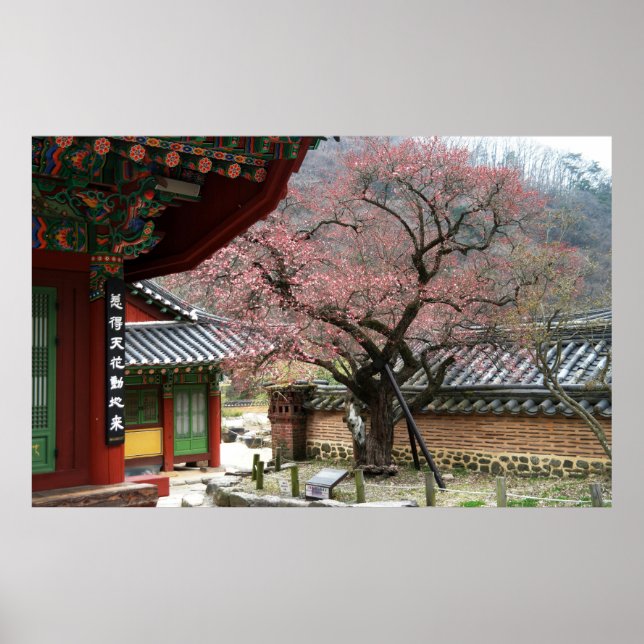 Poster Projetado com uma fotografia da Coreia do Sul, imp (Frente)