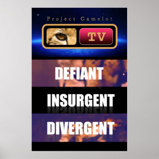 POSTER PROJETO CAMELOT