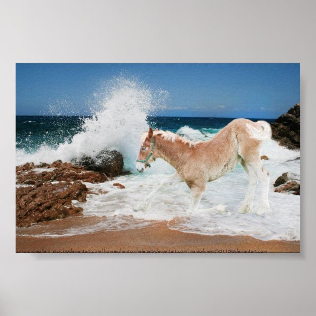 Pôster Projeto Do Mar (Frente)