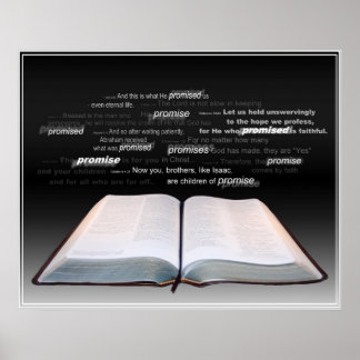 Pôster promessa