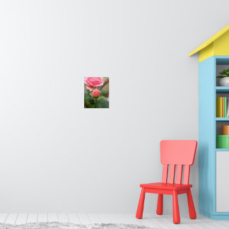 Poster Promessa de Rubor: A Rosa Desabrochando