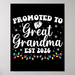 Poster Promovida a Bisavó Est 2026 Primeira Vez Nova