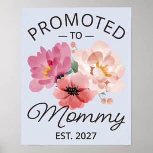 Poster Promovida a Mamãe Est 2027 Anúncio de Nova Mamãe V