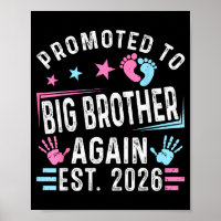 Promovido Para Big Brother Novamente Est. 2026 Vin