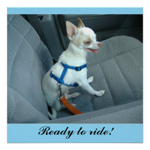 Pôster Pronto para circular Poster brilhante