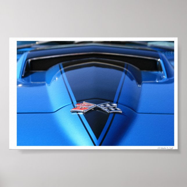 Pôster Pronto para Rumble (Frente)