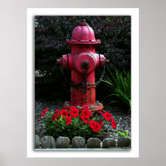 Pôster Prontos, Dispostos e Capazes