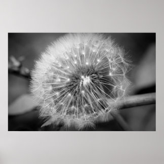 Poster Prontos para decolar!!