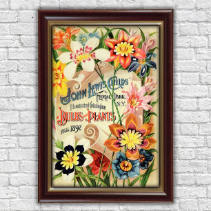 Poster Propaganda de Bulbos de Florais Antigos