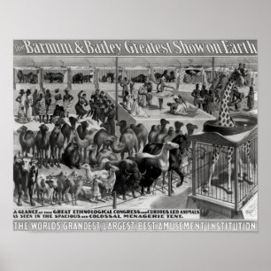 Poster Propaganda de poster, 'o Barnum e o Bailey