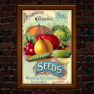 Poster Propaganda do Catálogo de Sementes Vintage Louisvi