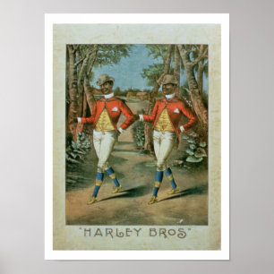 Poster Propaganda para de "os irmãos Harley" (li da cor