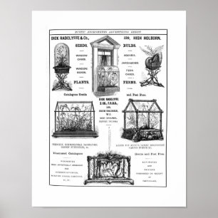 Pôster Propaganda para o "pau Radclyffe & Co. " Anúncio