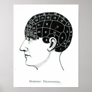 Pôster Propensões domésticas