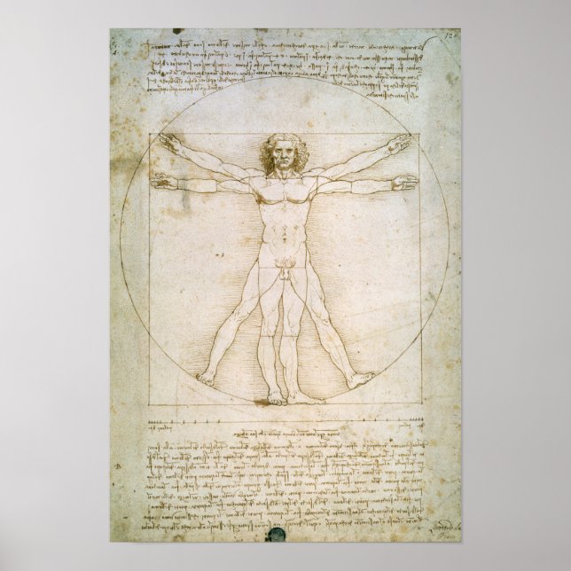 Pôster Proporções do número humano (Frente)