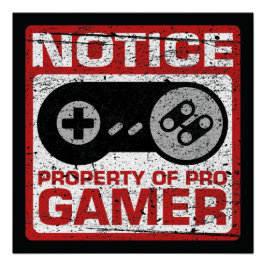 Pôster Propriedade De Aviso Do Pro Gamer
