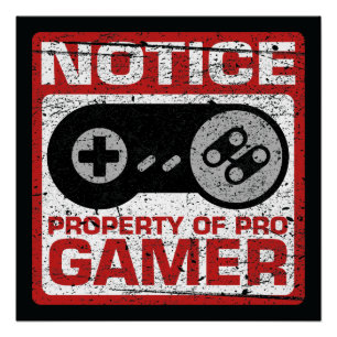 Pôster Propriedade De Aviso Do Pro Gamer
