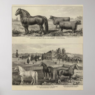 Poster Propriedade de McAfee, Topeka McCrumb, Kansas