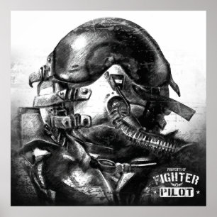 Poster Propriedade Do Piloto De Combatente