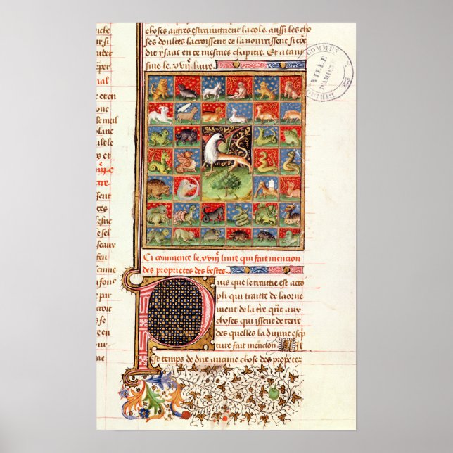 Poster Propriedades dos animais (Frente)