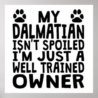 Pôster Proprietário Dalmaciano treinado