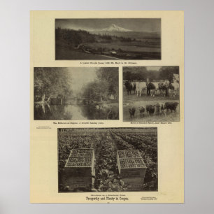 Pôster Prosperidade, abundância em Oregon