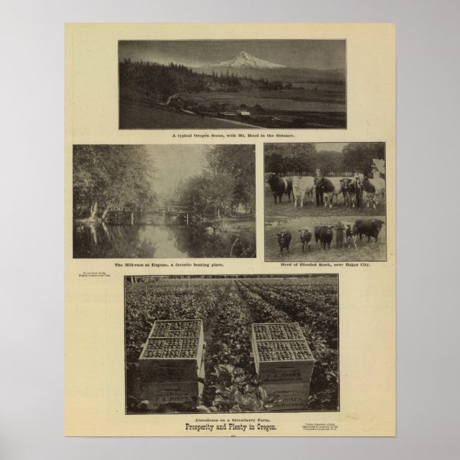 Pôster Prosperidade, abundância no Oregon (Frente)