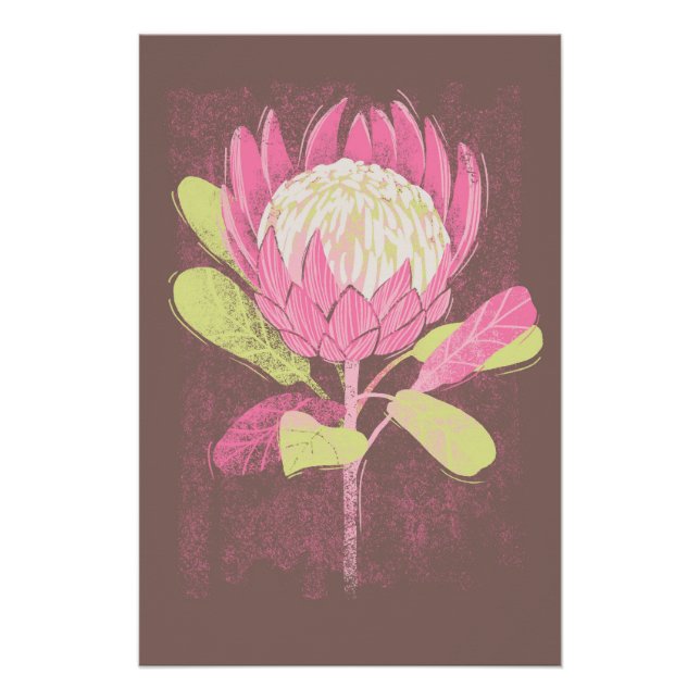 Pôster Protea (Frente)