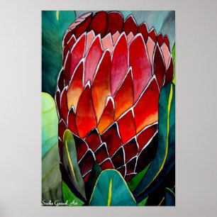 Poster Protea flor aquarela pintura de arte original