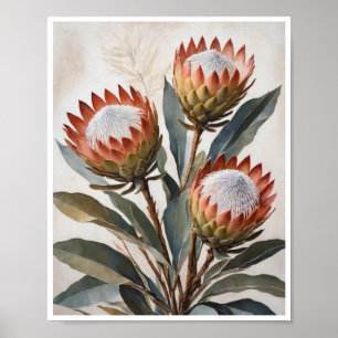 Poster Protea Flores de Pintura Sala de Arte