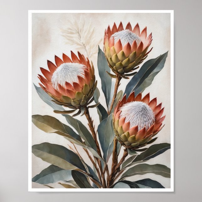 Poster Protea Flores de Pintura Sala de Arte (Frente)