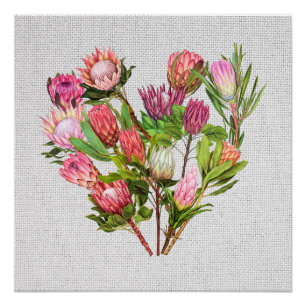 Pôster Protea Poster