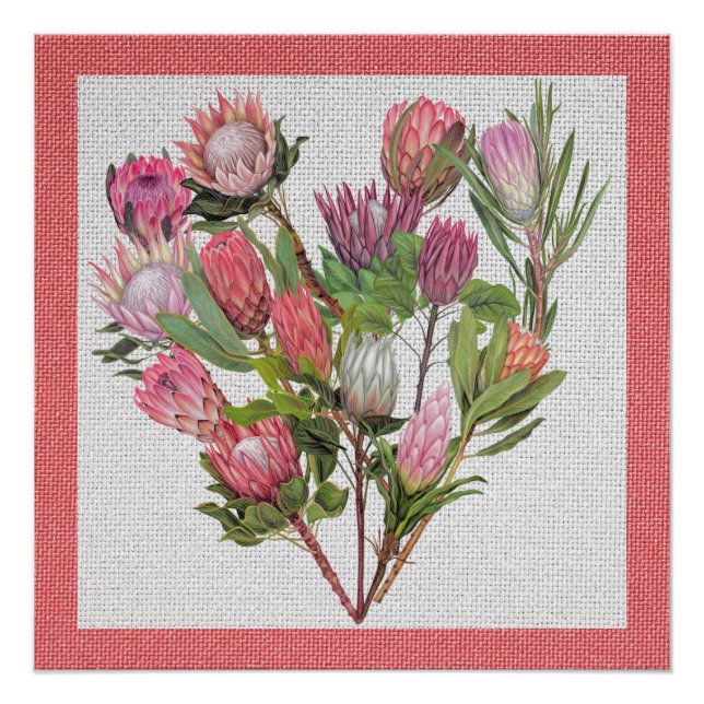 Pôster Protea Poster (Frente)