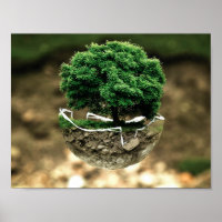 proteção ambiental