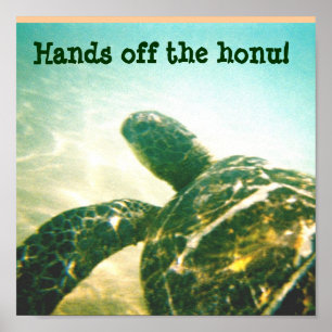 Poster Proteção das Tartarugas do Mar do Havaí