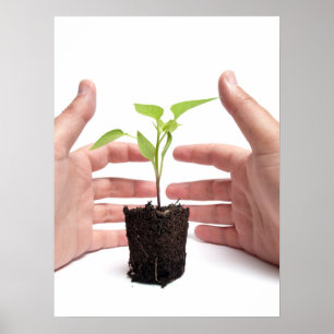 Poster Protecção ambiental