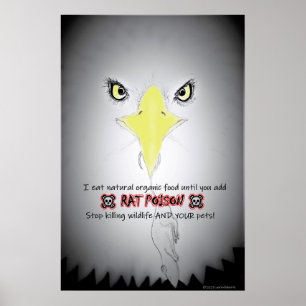 POSTER PROTEGER A NOSSA VIDA SELVAGEM DA VENENA DE RATO