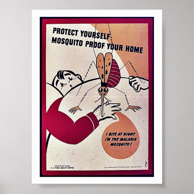 Poster Proteja seu próprio Mosquito Prova de sua Casa (Frente)